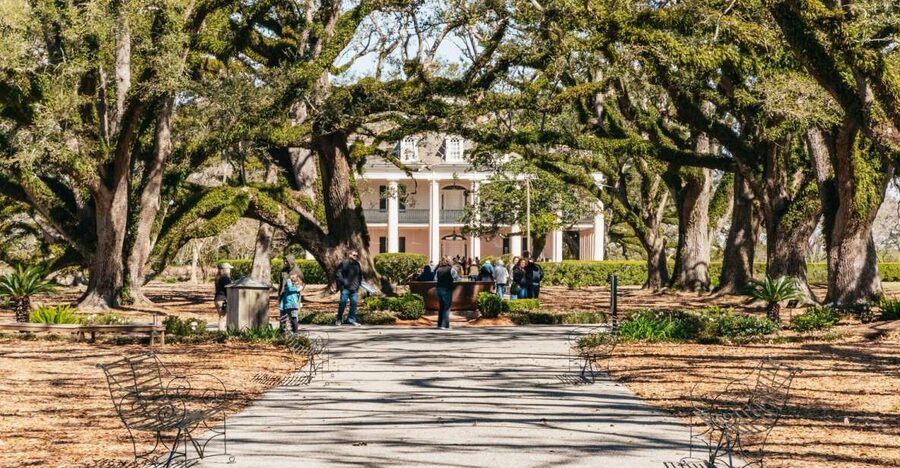 New Orleans: Oak Alley Plantation & Airboat Swamp Combo Tour - Pickup from New Orleans and the road west