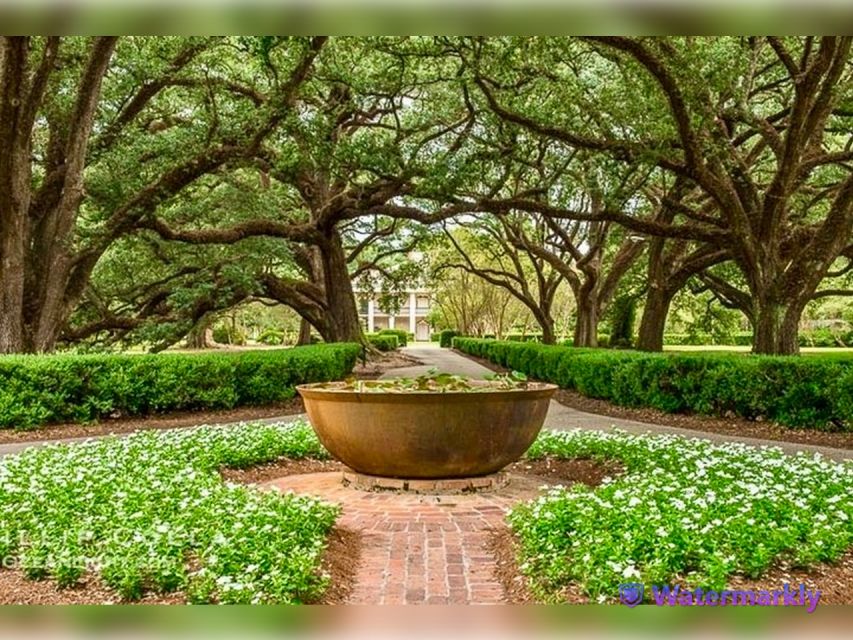 New Orleans: Oak Alley Plantation and Katrina City Tour - Is $120 a fair price for this full day?