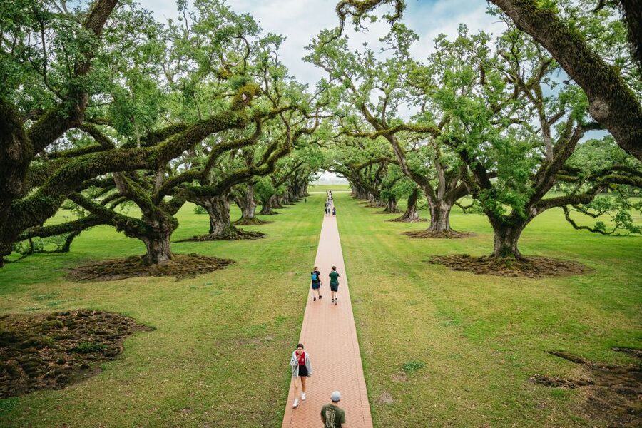 New Orleans: Oak Alley Plantation and Swamp Cruise Day Trip - Oak Alley and the serious story behind the pretty trees