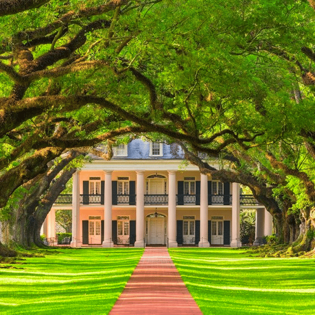 New Orleans: Oak Alley Plantation Tour and Transportation - Walking the grounds beneath the oaks