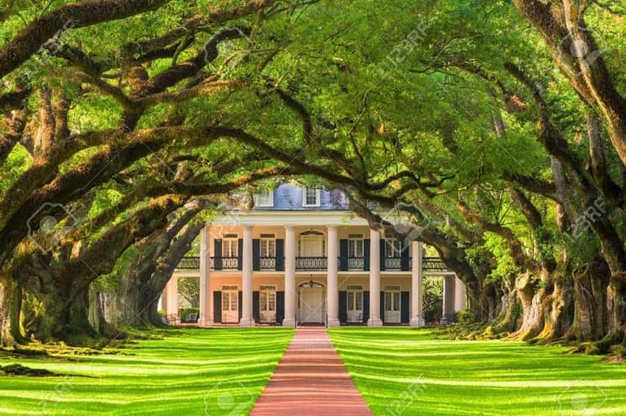 New Orleans: Oak Alley Plantation Tour with Hotel Transfers - The 28 oaks make the first impression