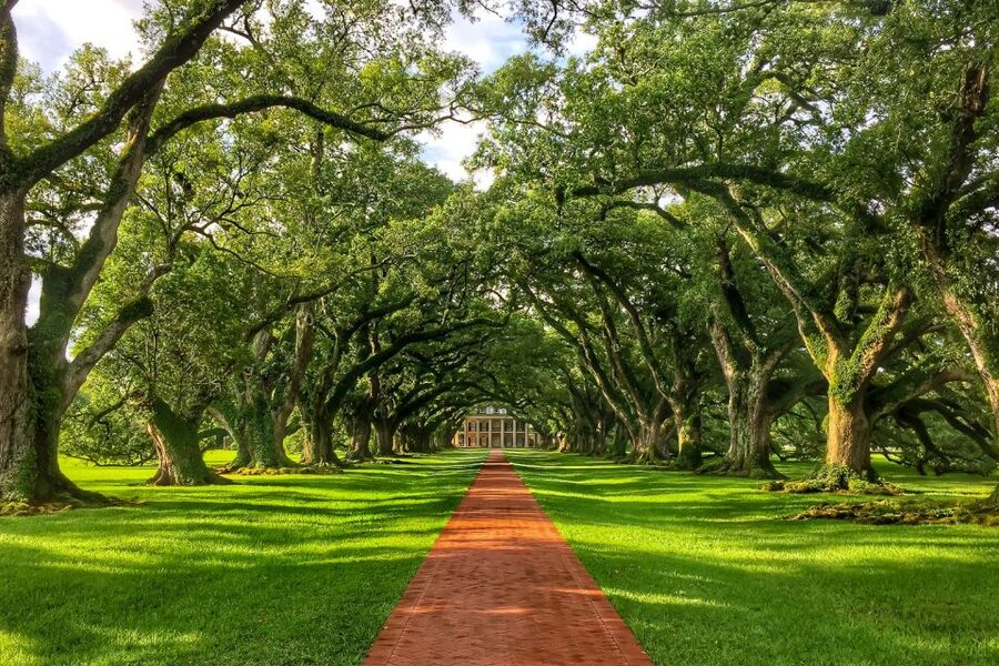 New Orleans: Oak Alley Plantation Tour with Transportation - Leaving New Orleans for the Mississippi River plantations