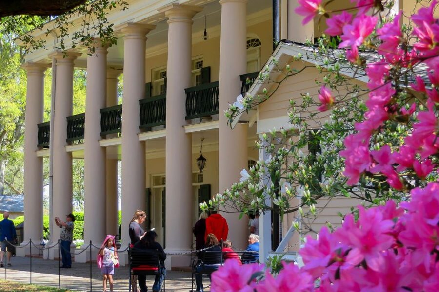 New Orleans: Oak Alley Plantation Tour with Transportation - Accessibility, weather, and practical limits