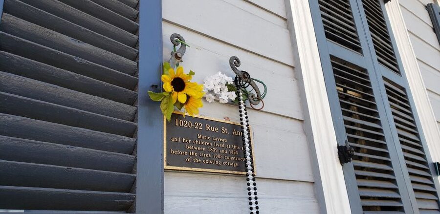 New Orleans: Pestilence and Plagues Guided Tour - Yellow fever, cholera, and the role of mosquitoes