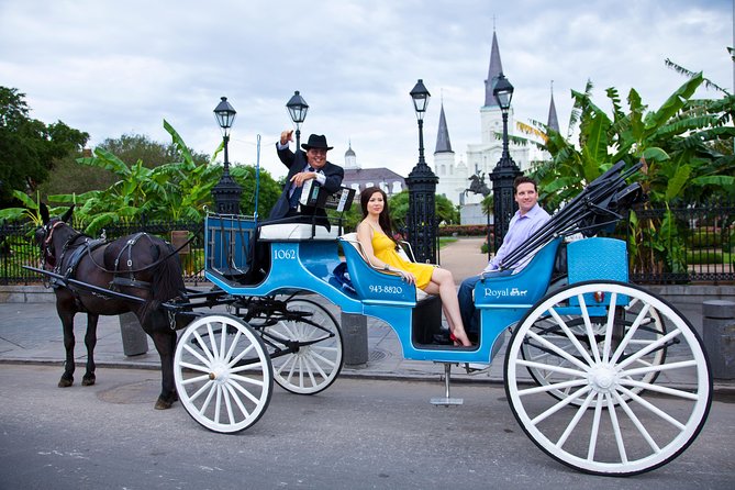 New Orleans Private Carriage Tour of the French Quarter - Boarding near St. Louis Street and Decatur Street