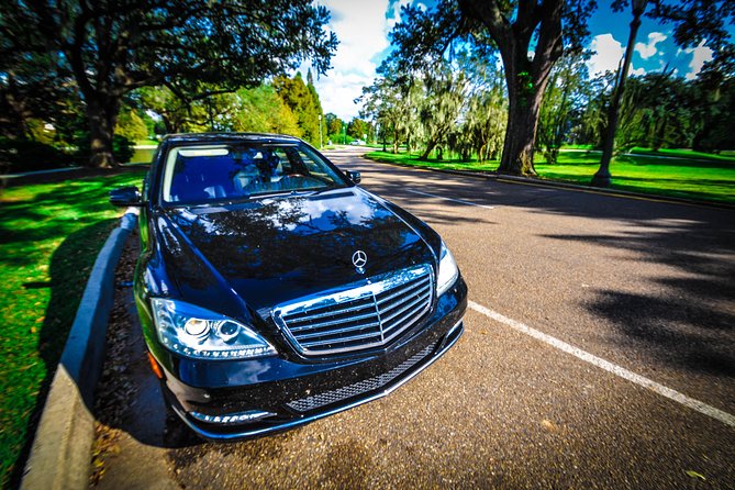 New Orleans Private Vehicle City Tour - City Park: a calmer side of New Orleans