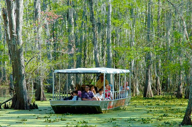 New Orleans Self-Transport Swamp and Bayou Boat Tour - Getting to Slidell instead of taking a bus