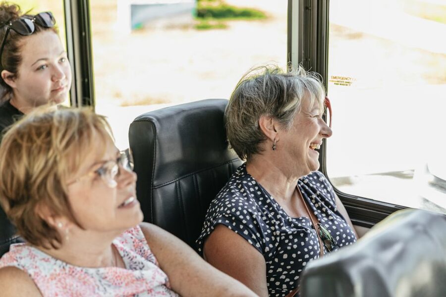 New Orleans: Sightseeing Bus Tour - Magazine Street, the Warehouse District, and the return route