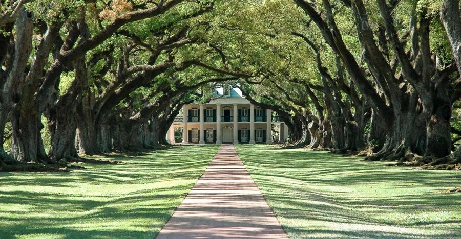 New Orleans: Single Plantation and Pontoon Swamp Day Trip - One day, two sides of southern Louisiana