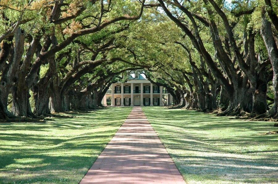 New Orleans: Single Plantation and Pontoon Swamp Day Trip - Whitney Plantation, first-person accounts and memorials