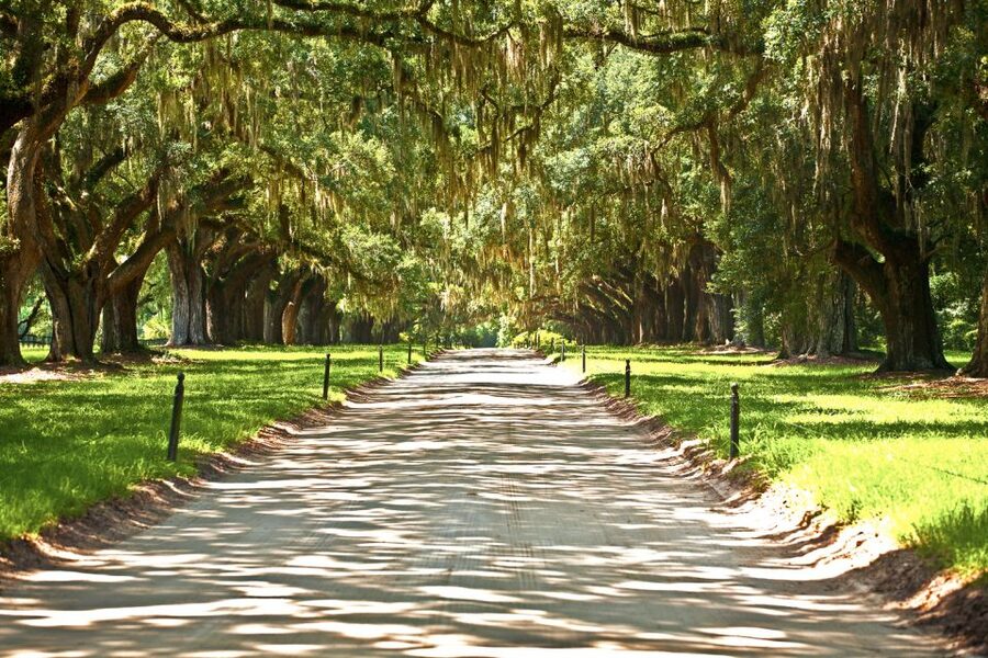 New Orleans: Single Plantation and Pontoon Swamp Day Trip - Why the plantation choice changes the whole day