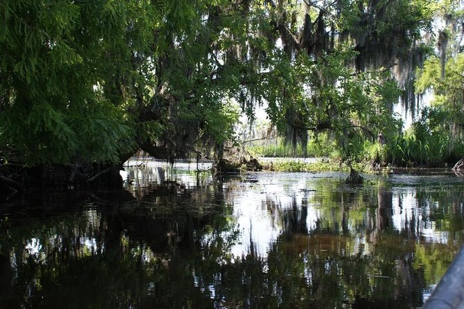 New Orleans Small-Group Airboat Swamp Tour - Leaving New Orleans for Barataria Preserve