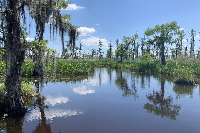 New Orleans Small-Group Airboat Swamp Tour - Why a group of nine is worth the extra money