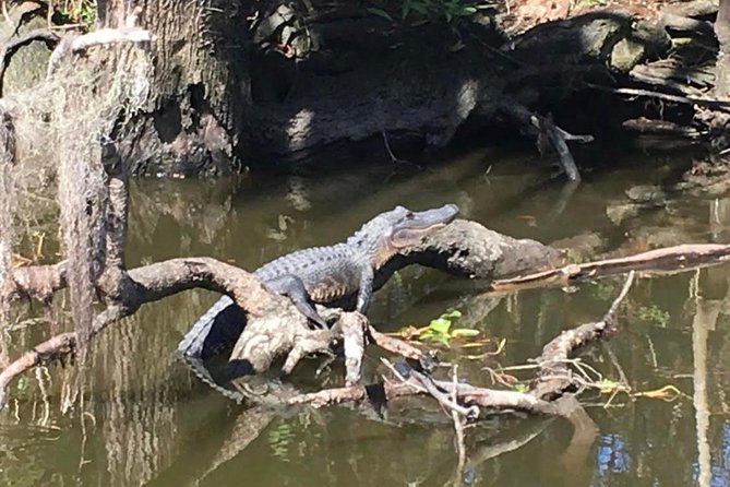 New Orleans Small-Group Airboat Swamp Tour - The practical side of an uncovered airboat