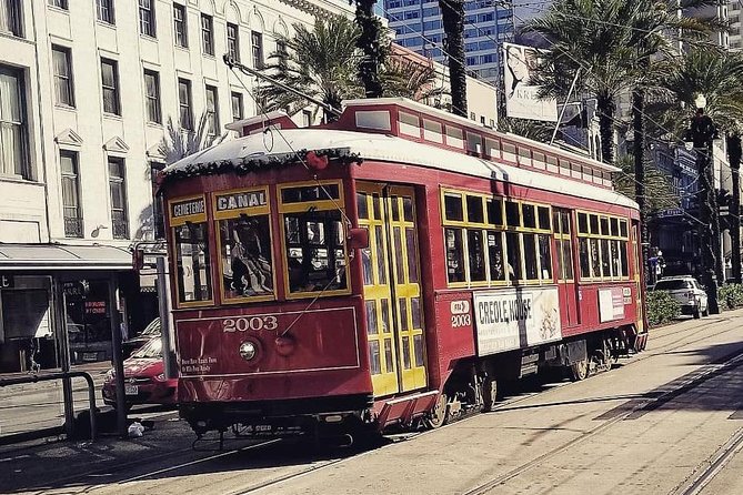 New Orleans Small-Group City and Cemetery Tour with Hotel Pickup - Who should book this New Orleans tour?
