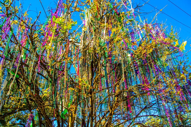 New Orleans Small-Group City Tour by Van - City Park, sculpture, and a beignet break