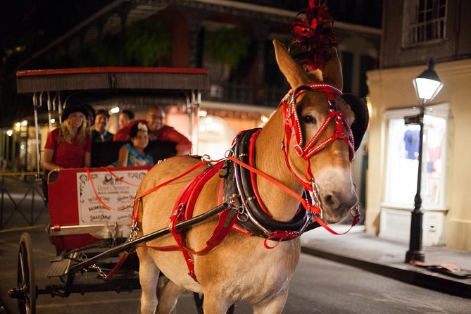 New Orleans Small-Group Haunted History Carriage Tour - A slow ride into New Orleans’ darker past