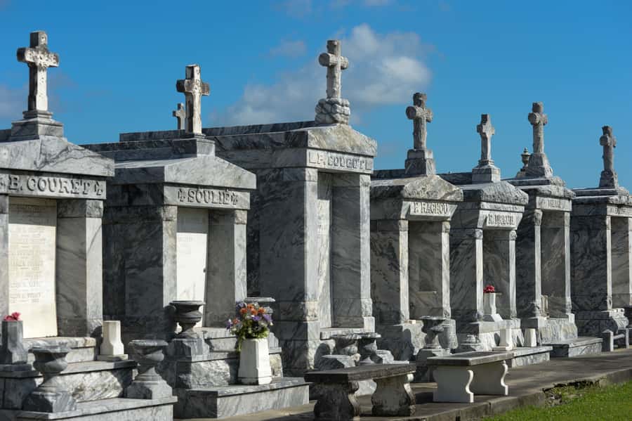 New Orleans: St. Louis Cemetery #3 Guided Walking Tour - Who will get the most from this walk