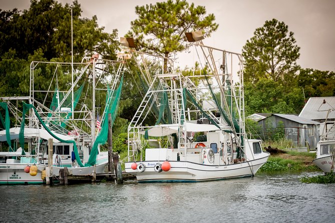 New Orleans Swamp and Bayou Alligator Tour - When to go, and what to pack