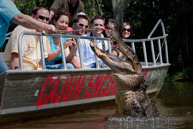 New Orleans Swamp and Bayou Boat Tour with Transportation - Key points to know before booking
