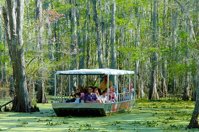 New Orleans Swamp and Bayou Boat Tour with Transportation - Practical details that make the day easier