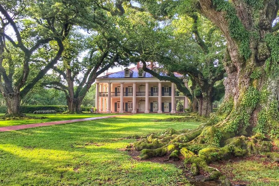 New Orleans: Swamp Boat Ride & Oak Alley Plantation Tour - Two Louisiana stories in one long day