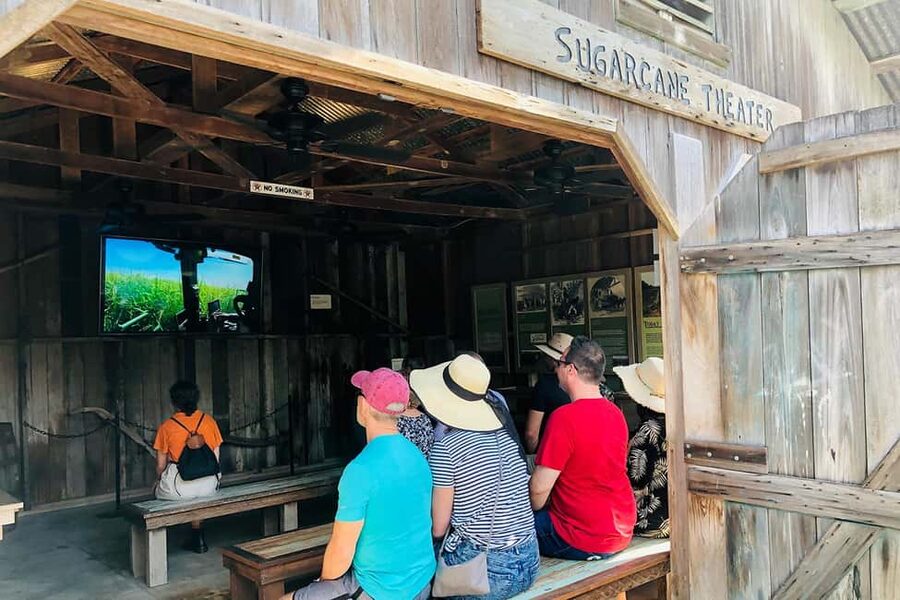 New Orleans: Swamp Boat Ride & Oak Alley Plantation Tour - Practical details that can make the day easier
