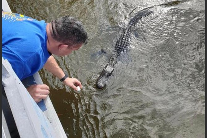 New Orleans Swamp Tour Boat Adventure - Who will enjoy this most?