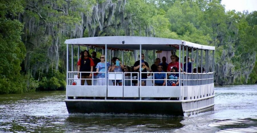 New Orleans: Swamp Tour on Covered Pontoon Boat - A Quiet Way Into Louisiana’s Bayou Country