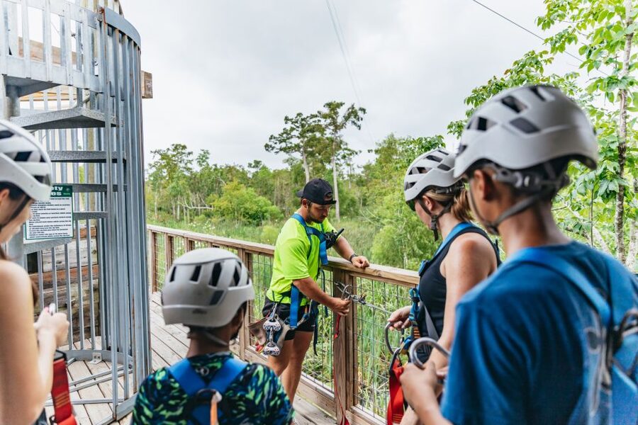 New Orleans: Swamp Zipline Tour - Quick takeaways from the swamp course