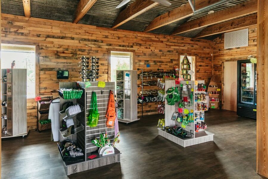 New Orleans: Swamp Zipline Tour - Is the $89 price fair?