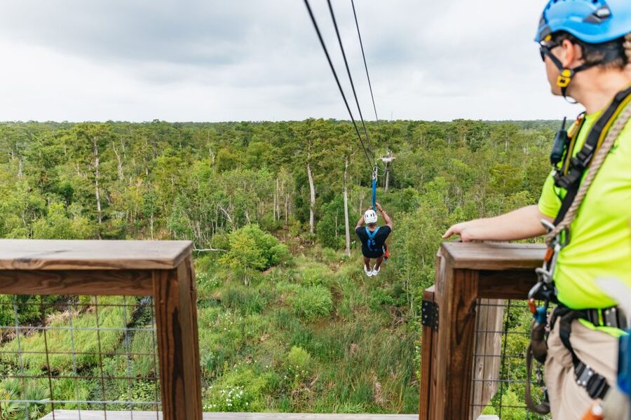 New Orleans: Swamp Zipline Tour - Five lines through the cypress canopy