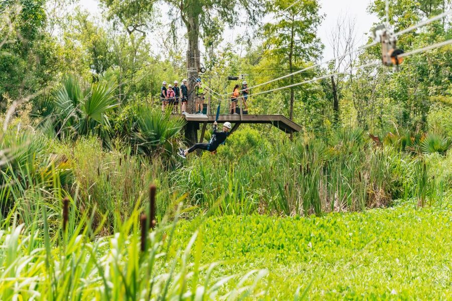 New Orleans: Swamp Zipline Tour - How long does the 90 minutes feel?