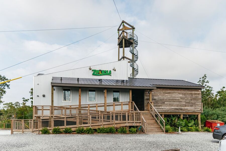 New Orleans: Swamp Zipline Tour - Who will enjoy this most?