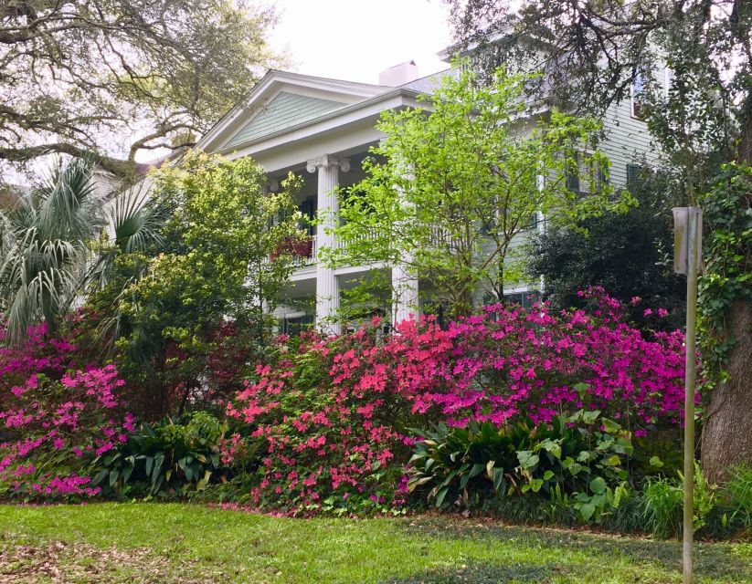New Orleans: Traditional City and Estate Tour - Uptown, universities, streetcars, and St. Charles Avenue