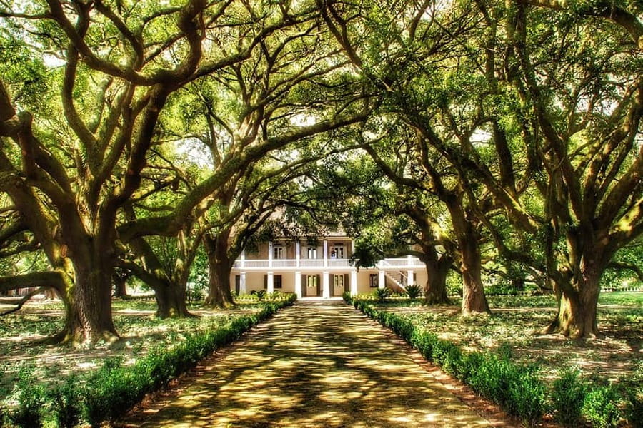 New Orleans: Whitney Plantation Tour with Transportation - Fourteen stops across a difficult story