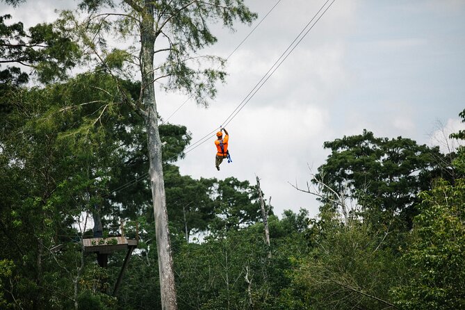 New Orleans Zipline Swamp Tour - Five lines, two bridges, and a swamp below