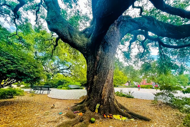 Nola Voodoo Walking Tour with High Priestess Guide in New Orleans - Who will get the most from this tour?