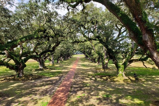 Oak Alley or Laura Plantation Tour from New Orleans - The four-hour schedule, from hotel to plantation