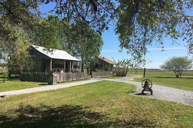 Oak Alley or Laura Plantation Tour from New Orleans - Who should choose Oak Alley or Laura?