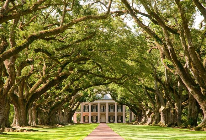 Oak Alley Plantation and Large Airboat Swamp Tour from New Orleans - Two Louisiana worlds in one long day