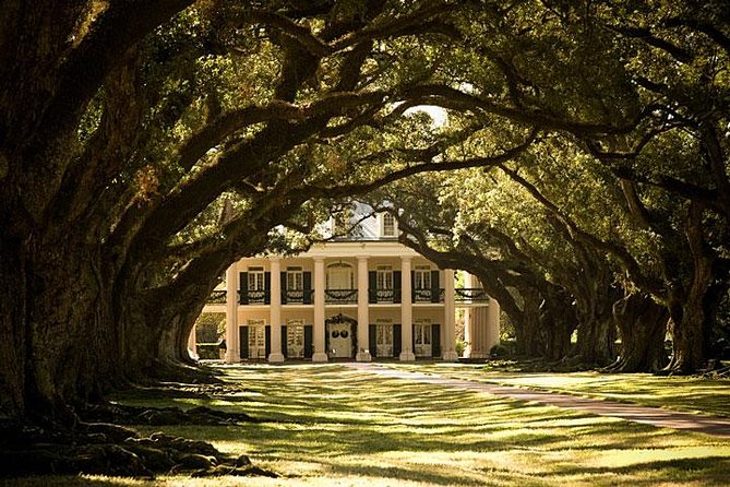 Oak Alley Plantation and Small Airboat Tour from New Orleans - From New Orleans hotels to the swamp