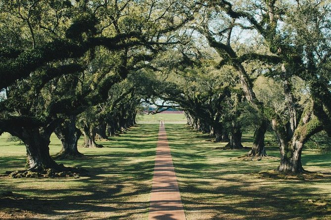 Oak Alley Plantation and Small Airboat Tour from New Orleans - Timing, road comfort, and the return ride