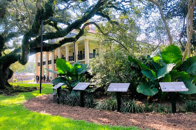 Oak Alley Plantation Tour with Transportation from New Orleans - Walking beneath Oak Alley’s 28 ancient trees