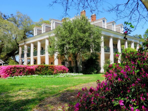 Oak Alley Plantation Tour with Transportation from New Orleans - Food, free time, and the return ride