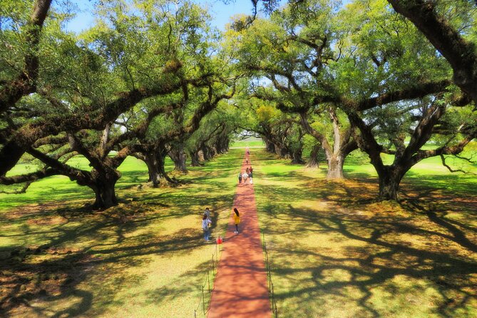 Oak Alley Plantation Tour with Transportation from New Orleans - Should you add the 90-minute swamp tour?