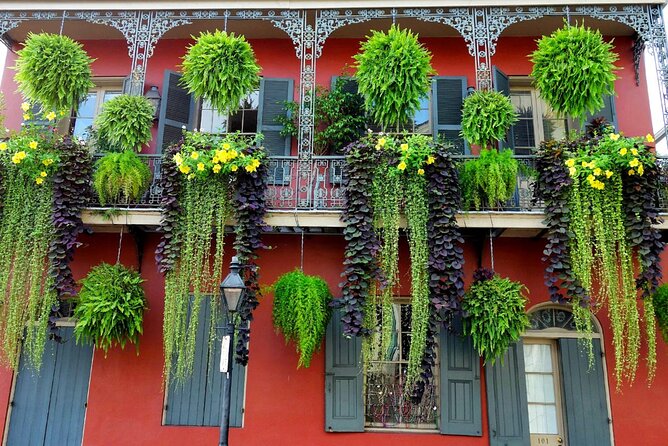 Private New Orleans City Tour with Local Expert Guide - What the private format is really worth