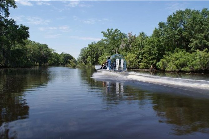 Small-Group Airboat Swamp Tour with Downtown New Orleans Pickup - Who will enjoy this most