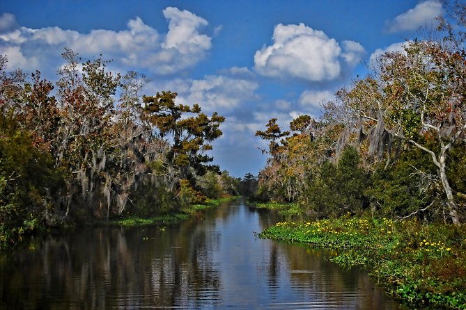 Small-Group Bayou Airboat Ride with Transport from New Orleans - Speed, scenery, and the feel of the ride