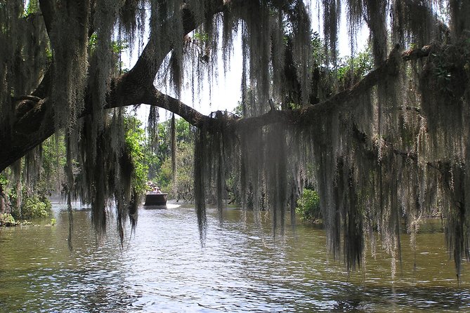 Small-Group Bayou Airboat Ride with Transport from New Orleans - Timing your visit around the weather